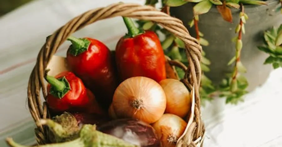 FT Agriculture provides expert farm consultancy services for both new and experienced farmers.